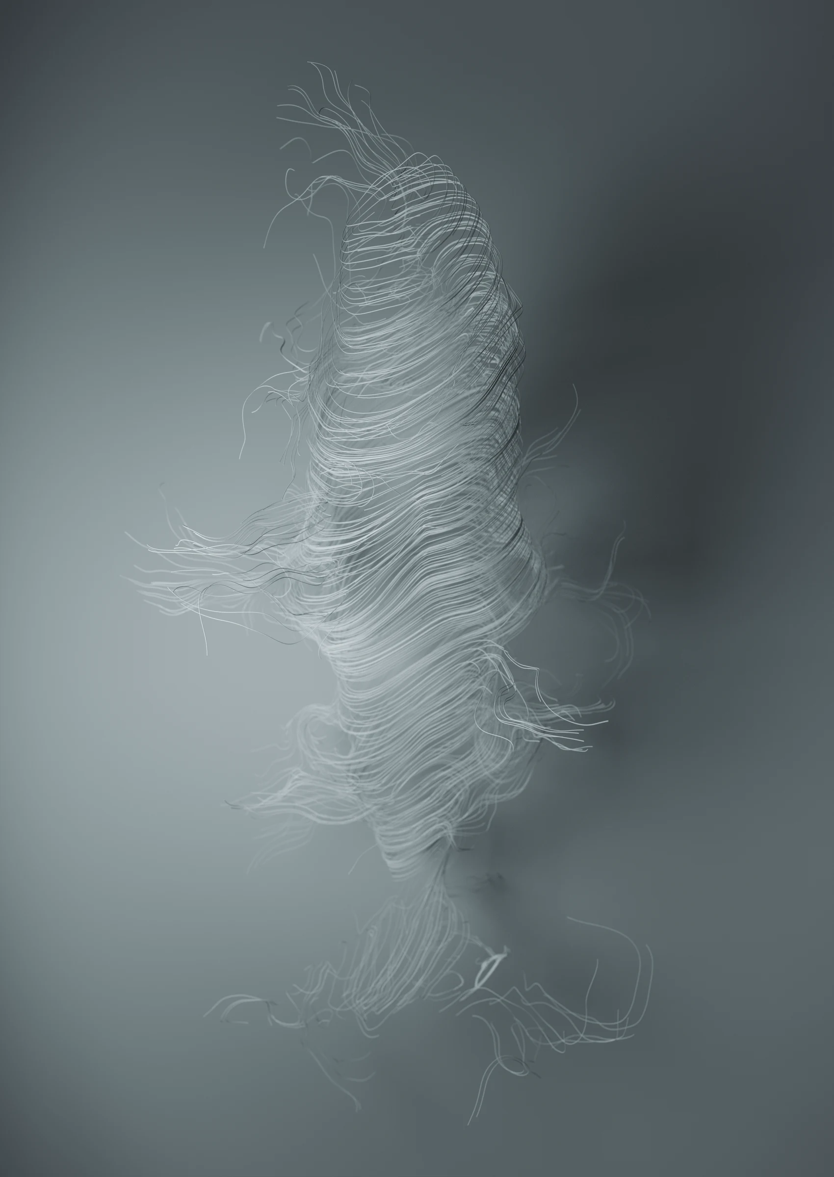 Whale Curl